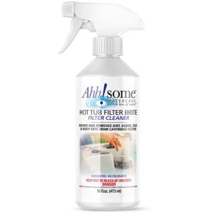 Ahh-Some Filter Brite 16 oz
