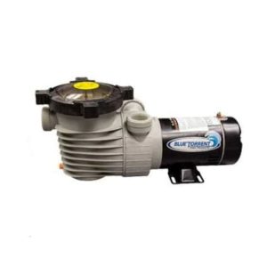 BlueTorrent Pump 1.5HP 2speed Dual Ports and Bonded