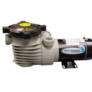 BlueTorrent Pump 1.5HP 2speed Dual Ports and Bonded