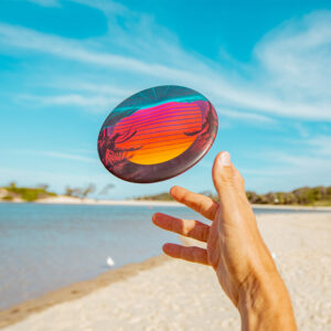 Wingman Rubber Disc